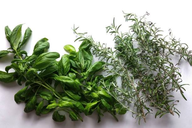 istock Basil and aromatic herbs on white background - top view 1050709252