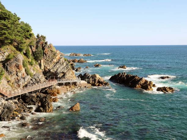 istock Sea Fan Road(Bada Buche gil) 1050710010