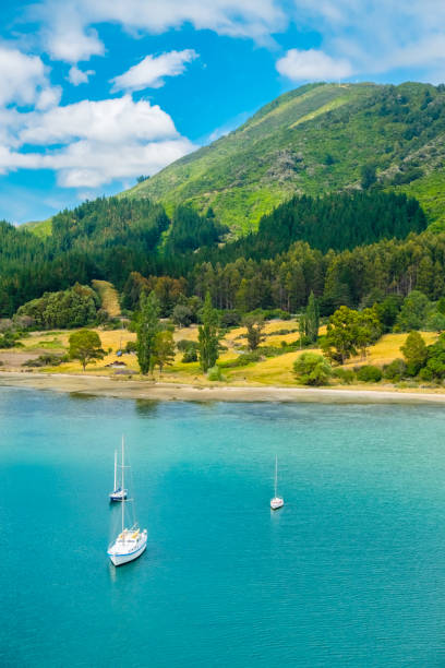 Boats Moored at Marlborough Sound, Picton, New Zealand a large group of sailing boats moored in a peaceful cove picton new zealand stock pictures, royalty-free photos & images