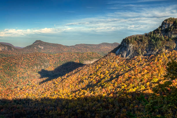 Rare Autumn Bear Shadow in Blue Ridge Mountains stock photo