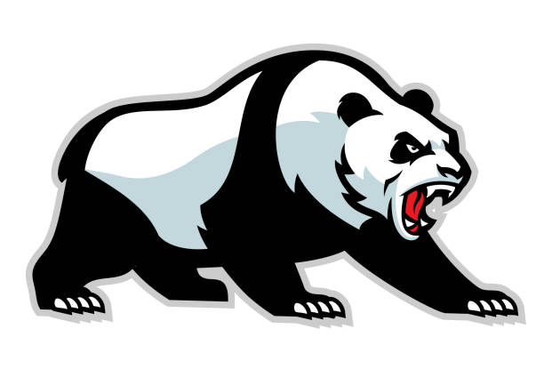 angry panda mascot vector of angry panda mascot are panda bears aggressive stock illustrations