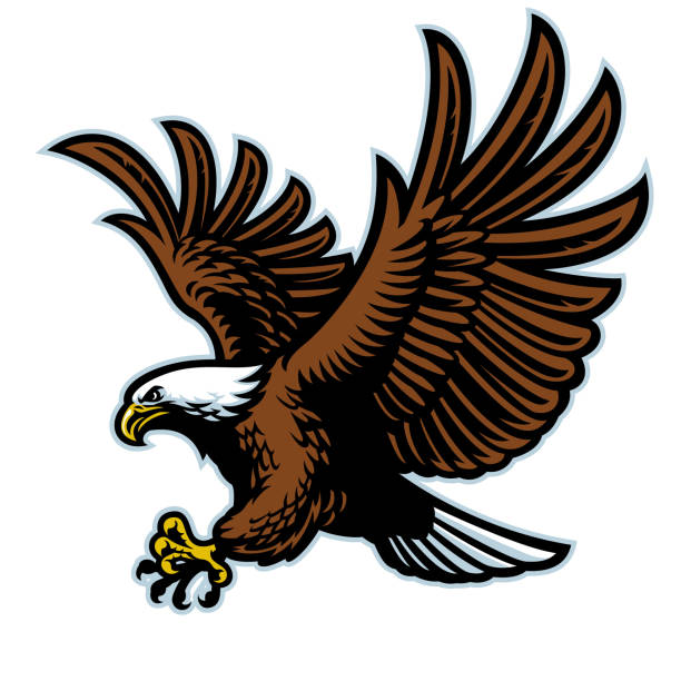 ilustrações de stock, clip art, desenhos animados e ícones de flying bald eagle mascot - bald eagle