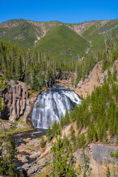 istock Gibbon Falls in Yellowstone National Park 1050715914
