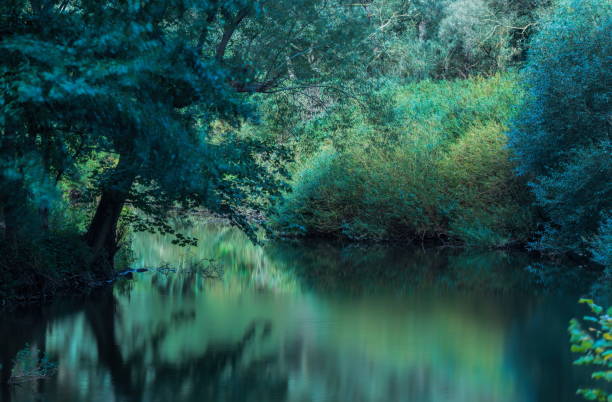Ahr valley  by Altenahr,Eifel,Germany.