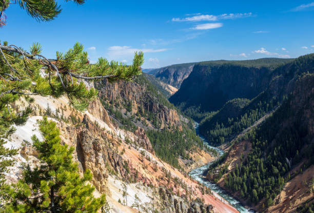 la rivière yellowstone traverse le grand canyon de yellowstone - eroded water grand canyon of yellowstone river river photos et images de collection