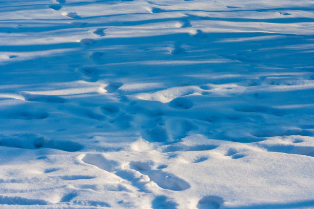 istock traces of white-blue snow 1050723366