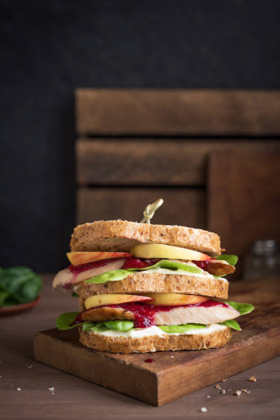 kanapka z indykiem lub kurczakiem - sandwich turkey cranberry cheese zdjęcia i obrazy z banku zdjęć