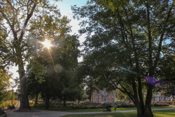 istock sunbeams through city park trees 1050726266