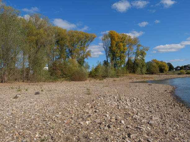 the river rhine near wesel