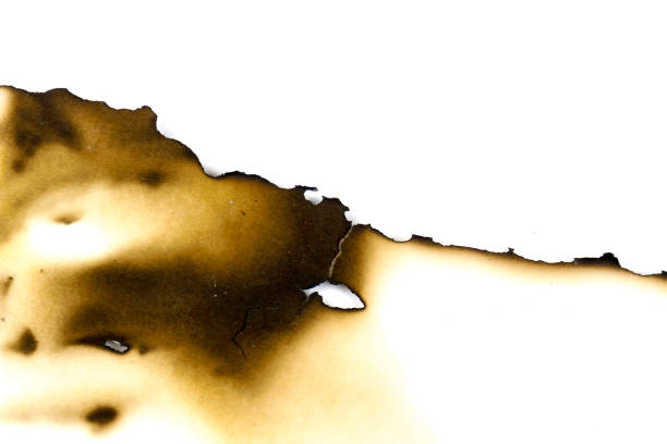 istock paper burned old grunge abstract background texture 1050736468