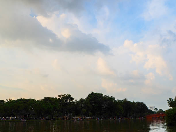 istock Trees on cloudy with sky at evening background silhouette style. 1050738490