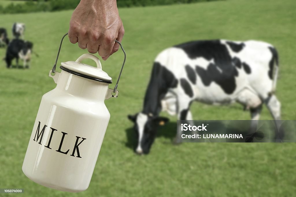 Vaca de leite Pote agricultor mão em Prado - Royalty-free Agricultor Foto de stock