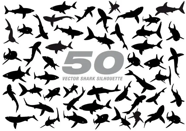 Vector illustration of 50 Vector Shark Silhouette