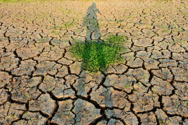 istock The land is dry and cracked. 1050742448