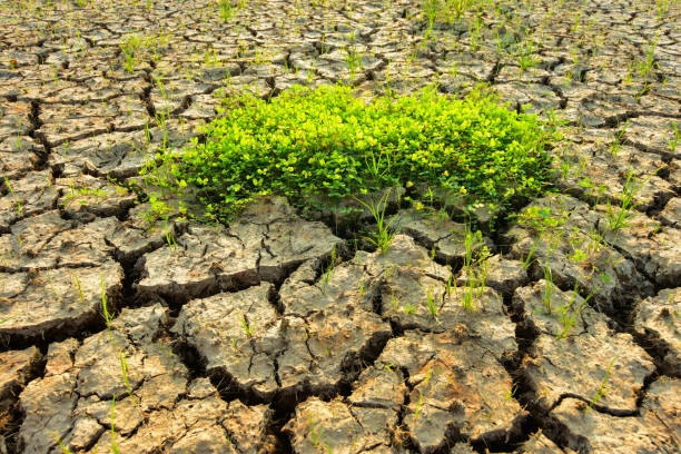 istock The land is dry and cracked. 1050742458