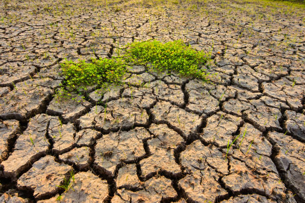 istock The land is dry and cracked. 1050742530