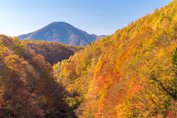 istock Nakatsugawa Fukushima Autumn 1050742626