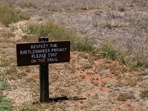 istock Rattlesnake Warning Sign 105074303