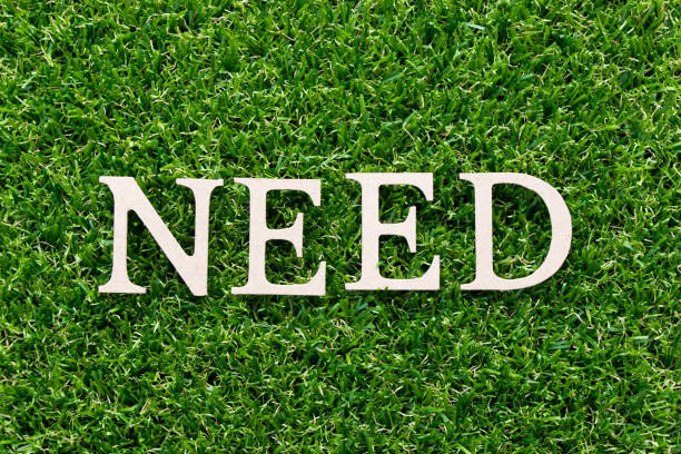 istock Wood alphabet in word need on artificial green grass background 1050743252