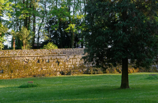 istock Ancient Wall in a City Park 1050746436