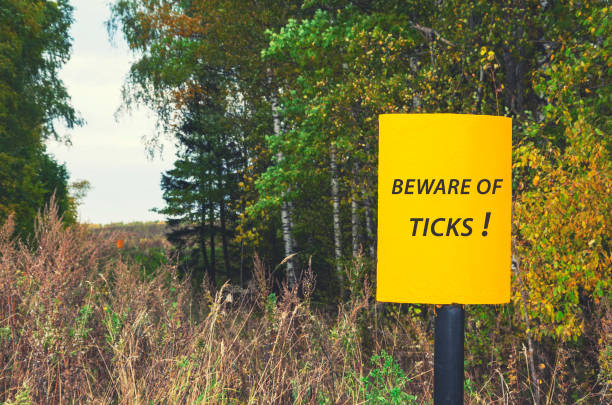 Warning sign "Beware of ticks" in the forest Abstract tularemia stock pictures, royalty-free photos & images