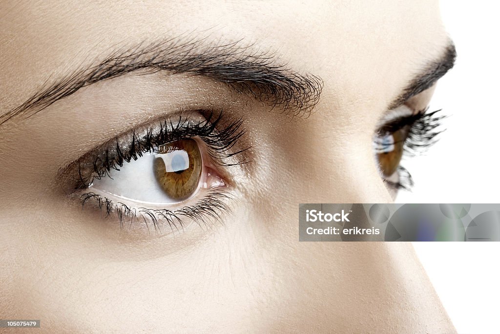 Female eyes Close-up portrait of a beautiful female eyes Adult Stock Photo