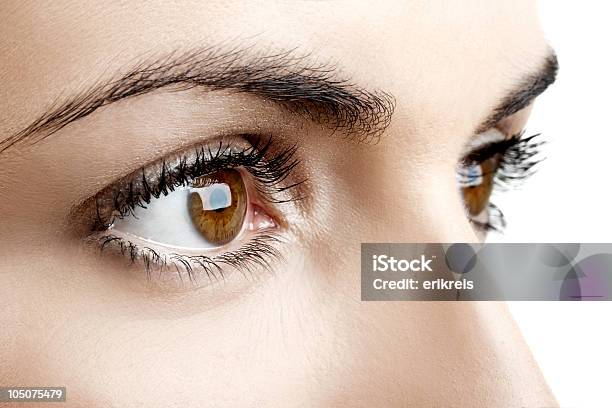 Female Eyes Stock Photo - Download Image Now - Adult, Adults Only, Beautiful People