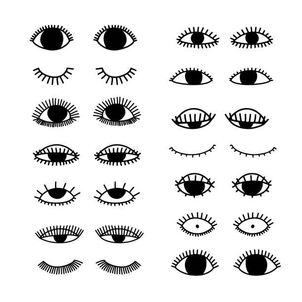 seal Set of vector cartoon eyes. Ink illustration. Closed and open eyes. Collection of face elements. Cute design. animal head illustrations stock illustrations