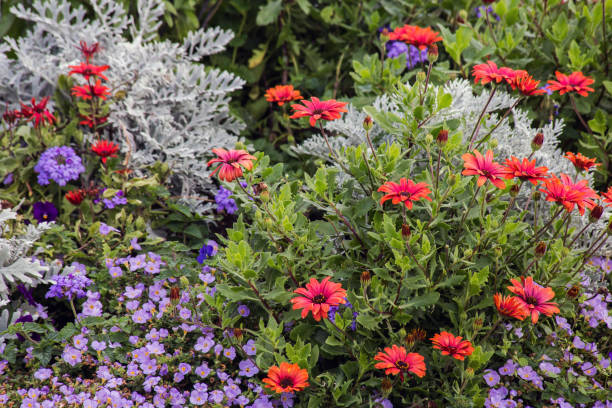 istock Mix of different Bright Autumn Flowers background 1050773438