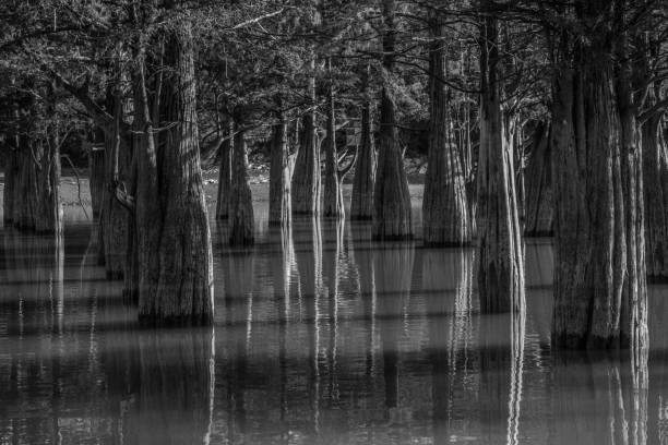 istock Reflections of the past 1050774674