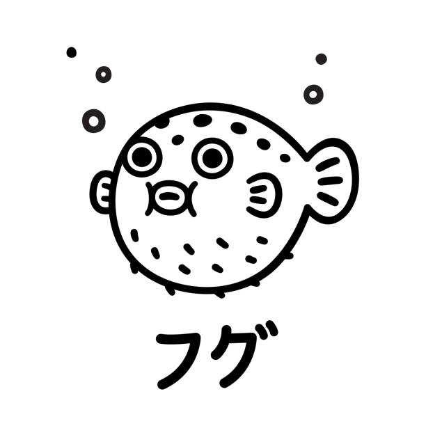 illustrations, cliparts, dessins animés et icônes de illustration de poisson fugu - poisson porc épic