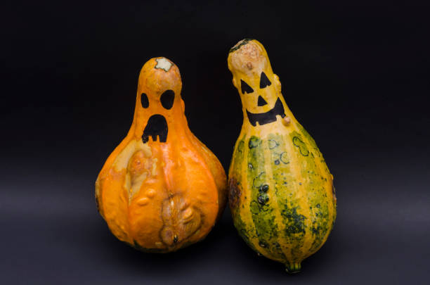 istock Cute Halloween pumpkins 1050794858