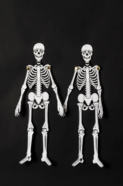 istock Paper skeletons against black background 1050795572