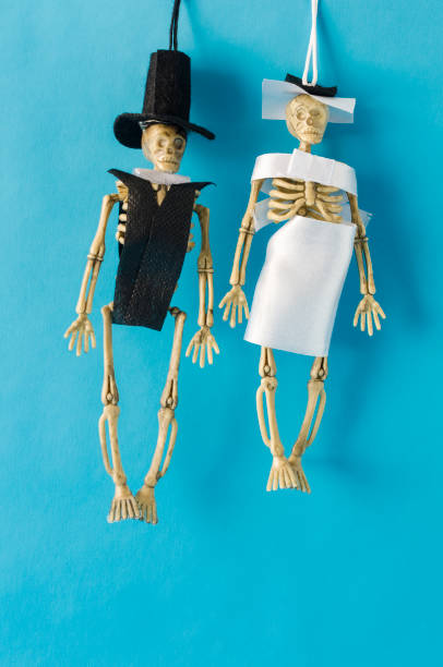 플라스틱 장난감 해골 - day of the dead mexico bride human skeleton 뉴스 사진 이미지