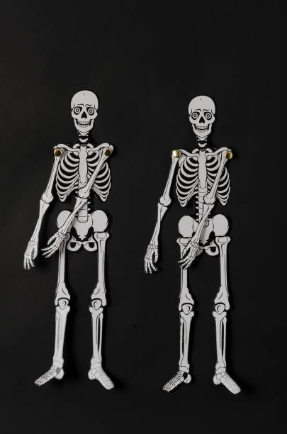 istock Paper skeletons against black background 1050797854