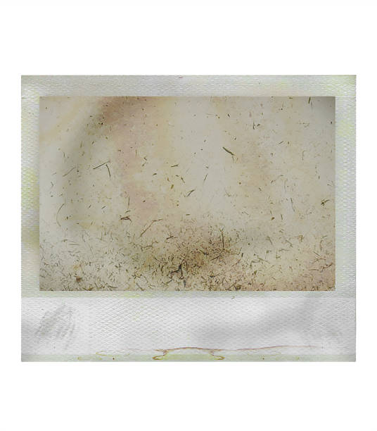 istock Grungy instant film frame on white 1050798304
