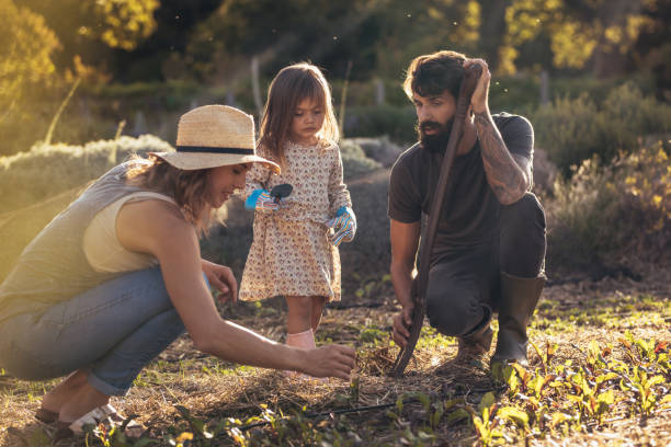 istock Young family working together in their farm 1050799532