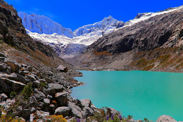 istock Laguna Llaca with Glacier and snowcapped Cordillera Blanca - Ancash Andes, Peru 1050799558