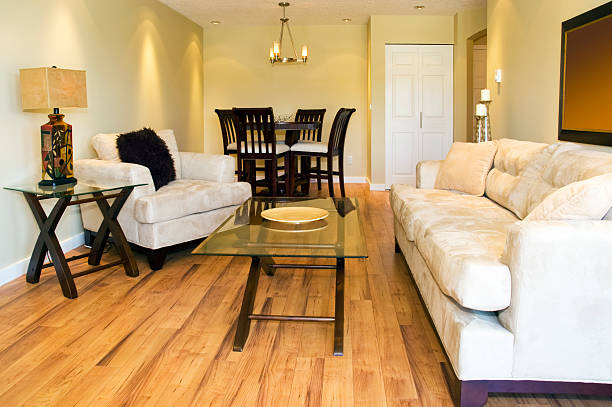 istock Modern Living and Dining Room 105079997