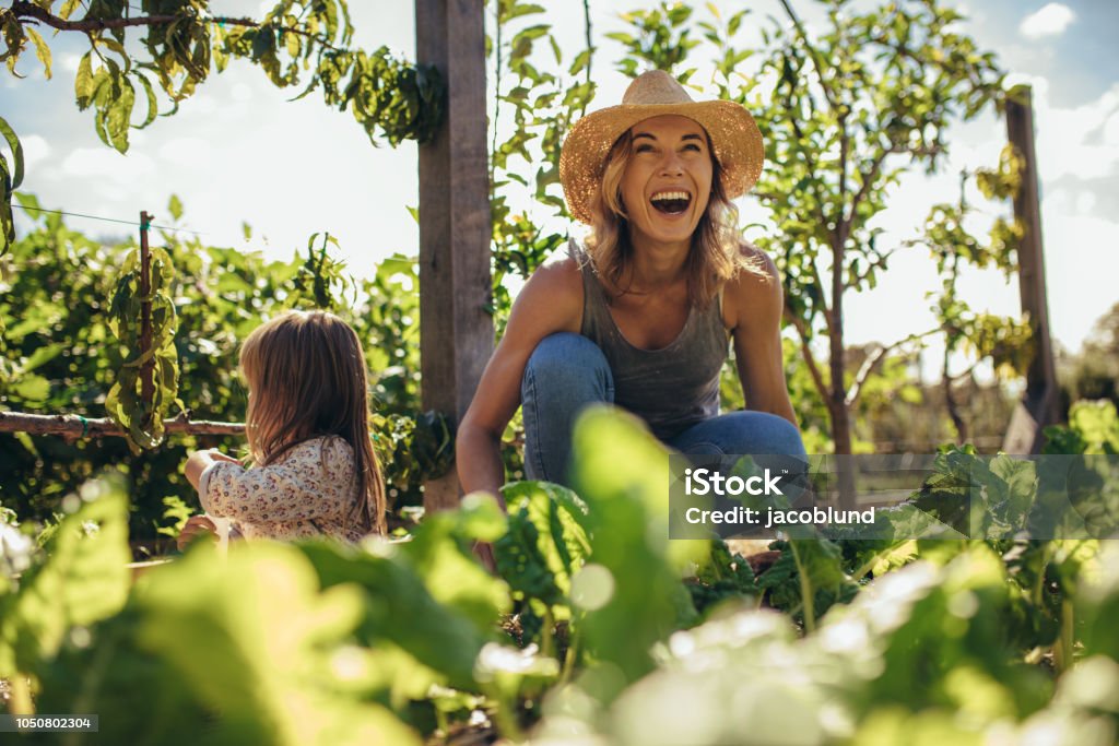 Famille collaborant sur allotissement - Photo de Jardiner libre de droits