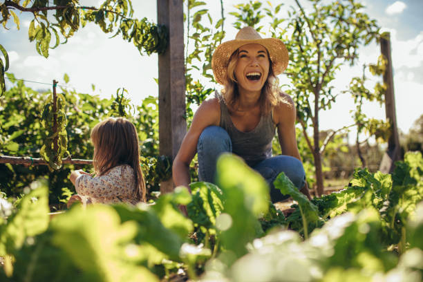 가족 서비스에 협력 - gardening women people planting 뉴스 사진 이미지