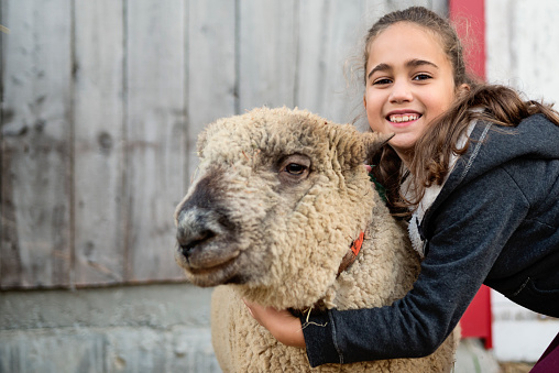 Adorable mixed-race little girl playing with a old sheep on a farm. Wood barn wall in the background. She is wearing warm clothes on a sunny autumn day. She is looking at the camera with a smile. Horizontal waist up outdoors shot with copy space.