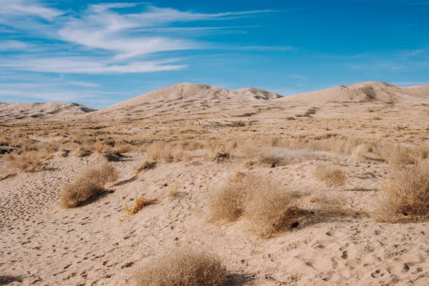 Kelso Sand Dunes on a Sunny Day in California