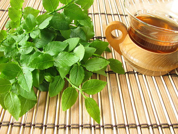 Herb tea with blueberry leaves