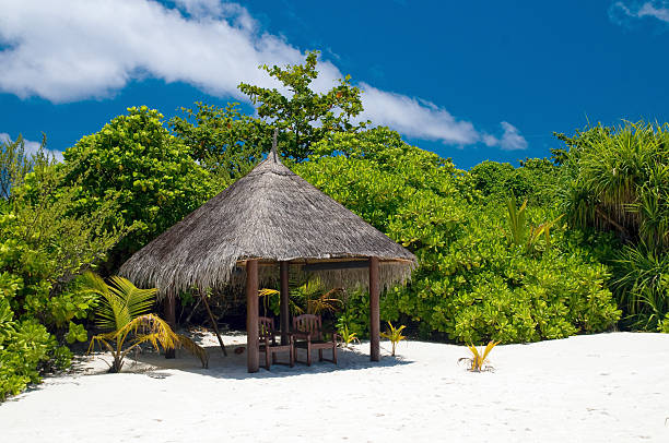 istock Shadowy Place at a tropical Beach 105082708