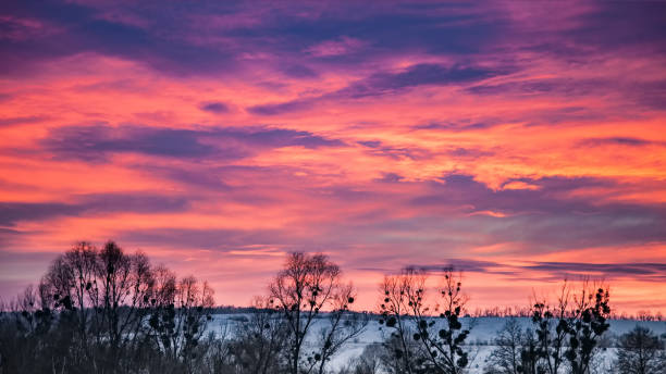 istock Trees silhouette with colorful sunset sky 1050832118