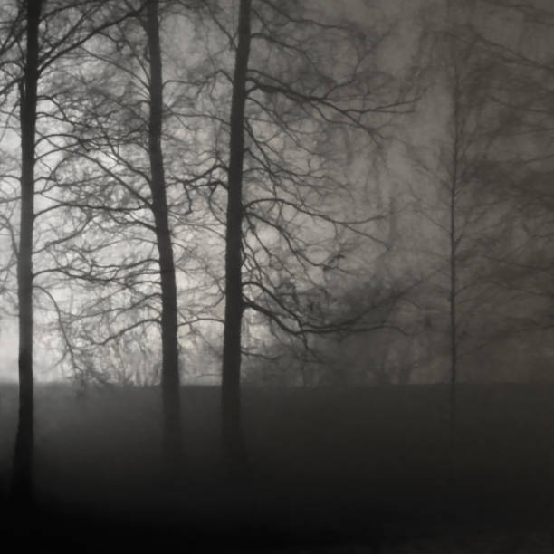 istock Illuminated Naked Leafless Branches, BacklitMisty Trees Silhouettes, Black Stone Wall, Vertical Bright Background Lit Outdoor Night Scene, Brightly Glowing Searchlight Light, Loneliness Concept Solitude Metaphor, Deserted Outdoors, Foggy Rainy Autumn Midn 1050834906