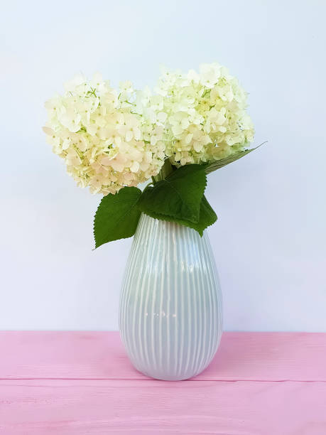 istock vase with white flowers on wooden background 1050836694