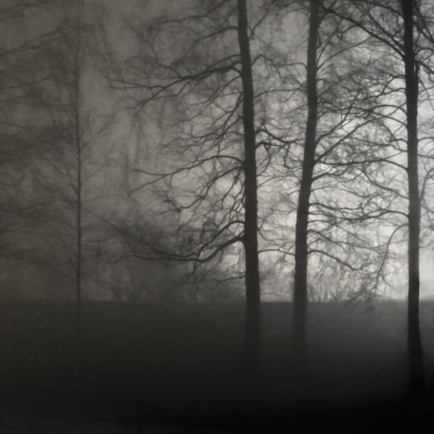 istock Illuminated Naked Leafless Branches, BacklitMisty Trees Silhouettes, Black Stone Wall, Vertical Bright Background Lit Outdoor Night Scene, Brightly Glowing Searchlight Light, Loneliness Concept Solitude Metaphor, Deserted Outdoors, Foggy Rainy Autumn Midn 1050838584