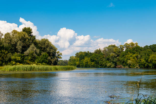 istock Summer landscape with beautiful river, green trees and blue sky 1050847660
